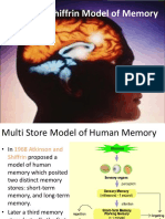 Atkinson-Shiffrin Model of Memory