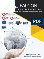 Multi Services LTD: Falcon