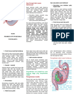 Leaflet Cara Menyembuhkan Asam Lambung Tinggi