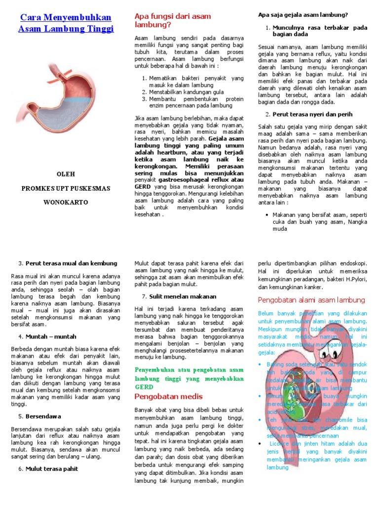 Image Result For Cara Mengatasi Asam Lambung Berlebih Naik Tinggi
