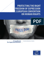 Protecting Right Freedom Expression - ENG PDF