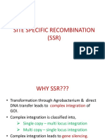 Site Specific Recombination (SSR)