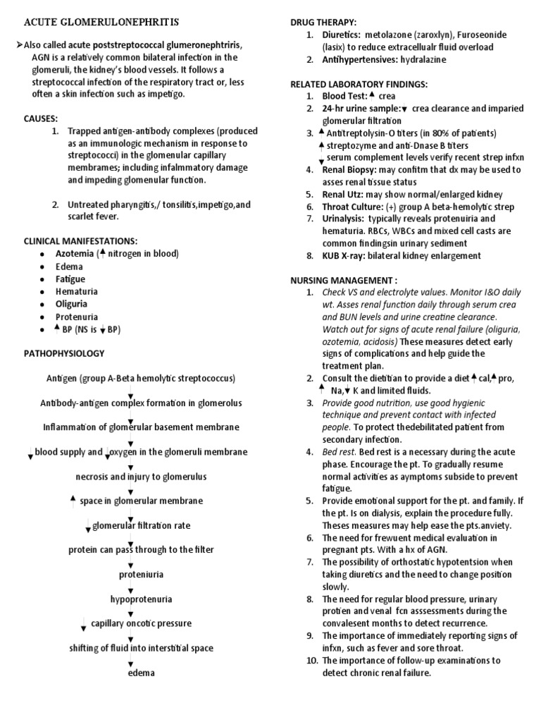 Acute Glomerulonephritis | PDF | Nephrology | Medicine