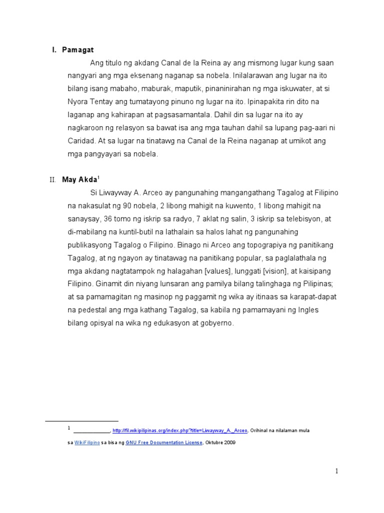 Canal de la reina book report image