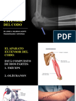 Lesiones Del Aparato Extensor Del Codo