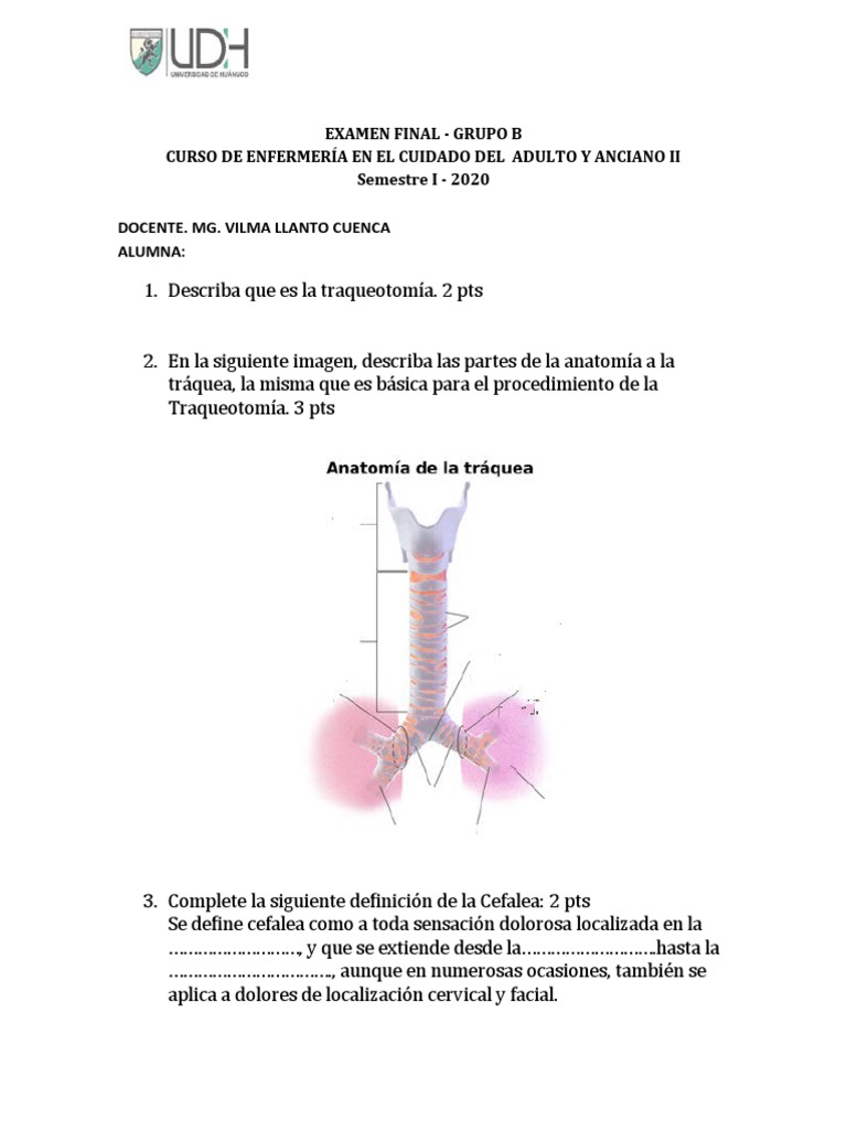 Examen Final Enfermería Adulto II | PDF | Paro cardíaco | Enfermedades ...
