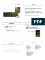 2015-wetland-intro-to-grasses-sedges-rushes