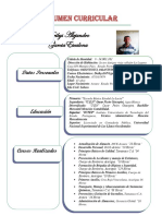 Resumen curricular contable 41