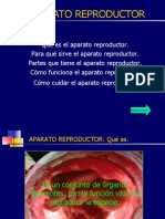 Aparato reproductor: funciones y cuidados