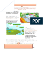 Tema 2. Componentes de Un Ecosistema