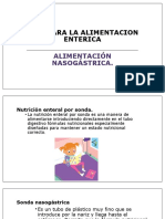 Alimentacion Nutricion Enteral de Accesos A Corto Plazo