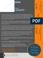 Modern Power System in A Digital Utility: Puica Nitu