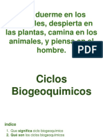 Ciclos Biogeoquimicos