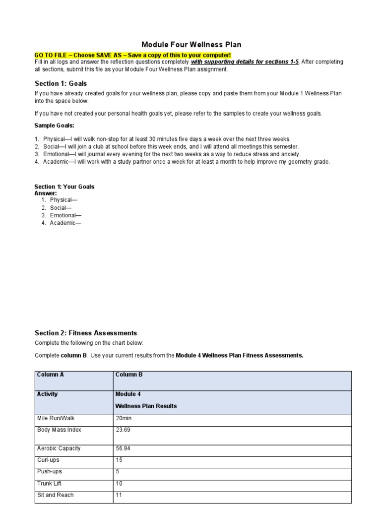 Module Four Wellness Plan Overview | PDF | Physical Fitness | Physical ...