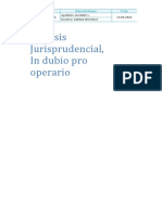 Análisis Jurisprudencial in Dubio Pro Operario 1