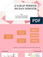 Otonom Dan Somatik