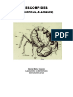 Apostila - Identificação de Escorpiões