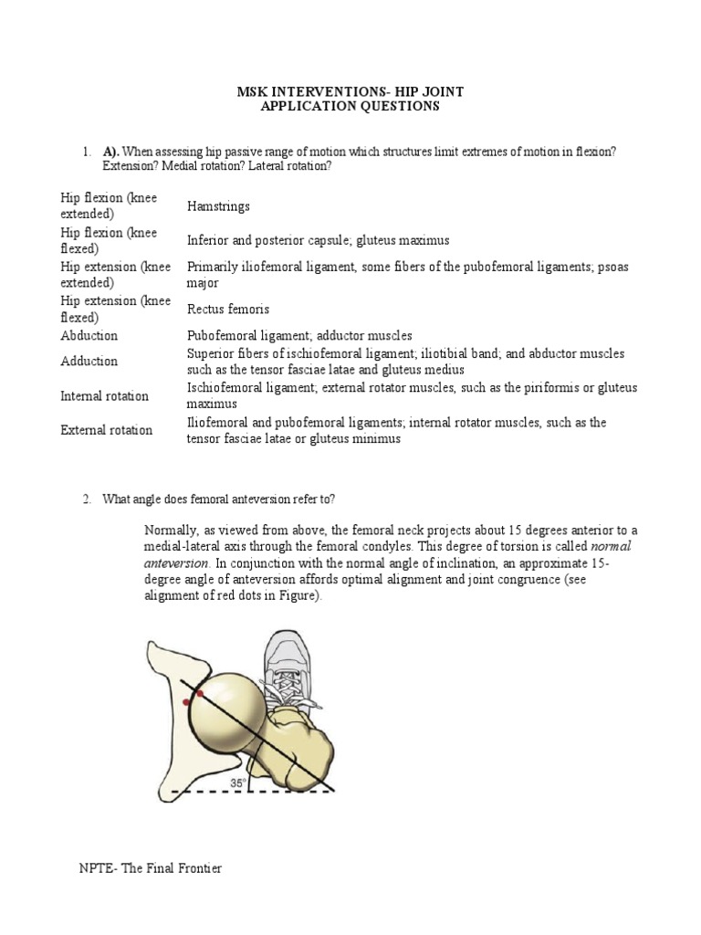 Hip Joint MSK Interventions Guide | PDF | Pelvis | Hip