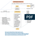 Taller Digestivo