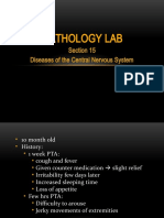Pathology Lab: Section 15 Diseases of The Central Nervous System