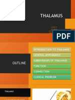 Thalamus Group 8