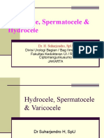 Varicocele, Spermatocele, Hydrocele