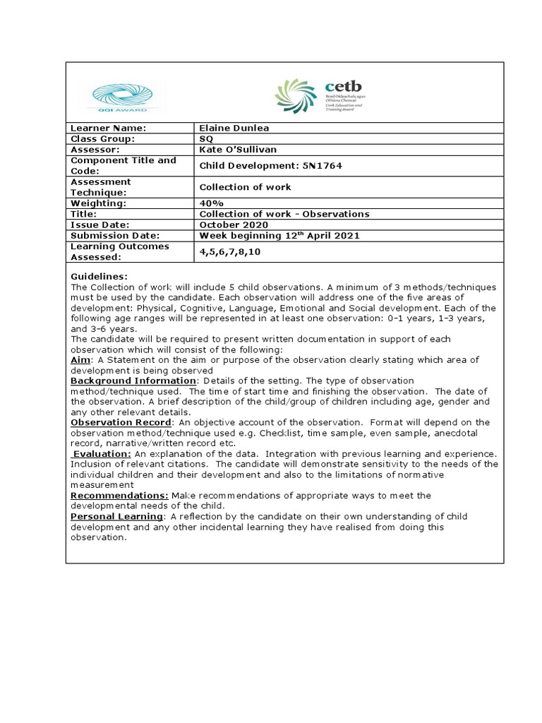 Child Development Observation Report | PDF | Child Development ...
