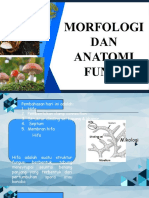 Morfologi Dan Anatomi Fungi