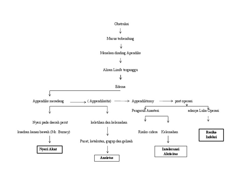 Jalur Diagnosis Apendisitis Akut | PDF