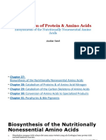 Metabolism Protein Amino Acids