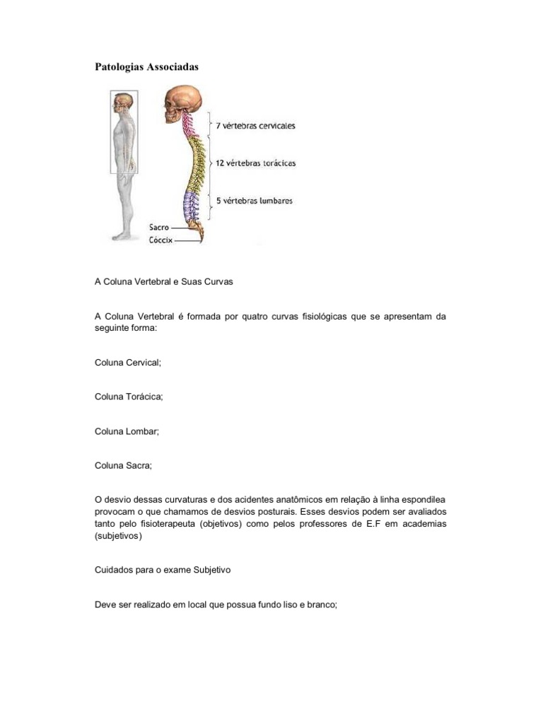 Patologias e Curvas da Coluna Vertebral | PDF | Coluna vertebral | Dor ...