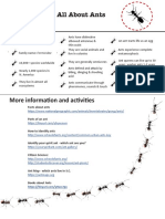 All About Ants: Formicidae