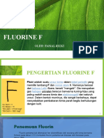 Faisal Rizki-Fluorine F