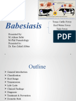 Babesia