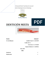 Denticion Mixta