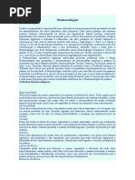 resumo-piramides