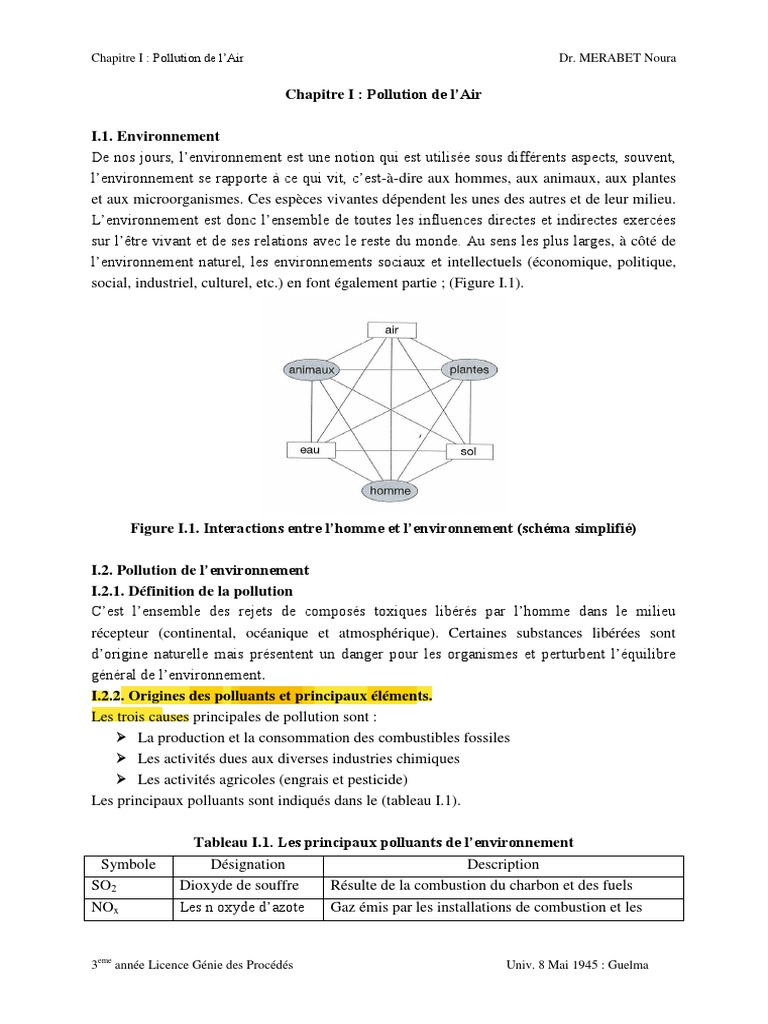 Résumé sur la pollution de l'air | PDF | Pollution de l'air ...