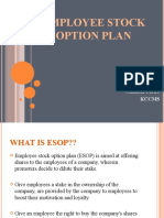 What is an Employee Stock Option Plan