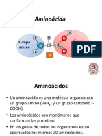 1._Aminoacidos