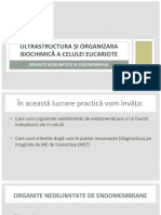 06 - Organite Nedelimitate de Endomembrane - Site