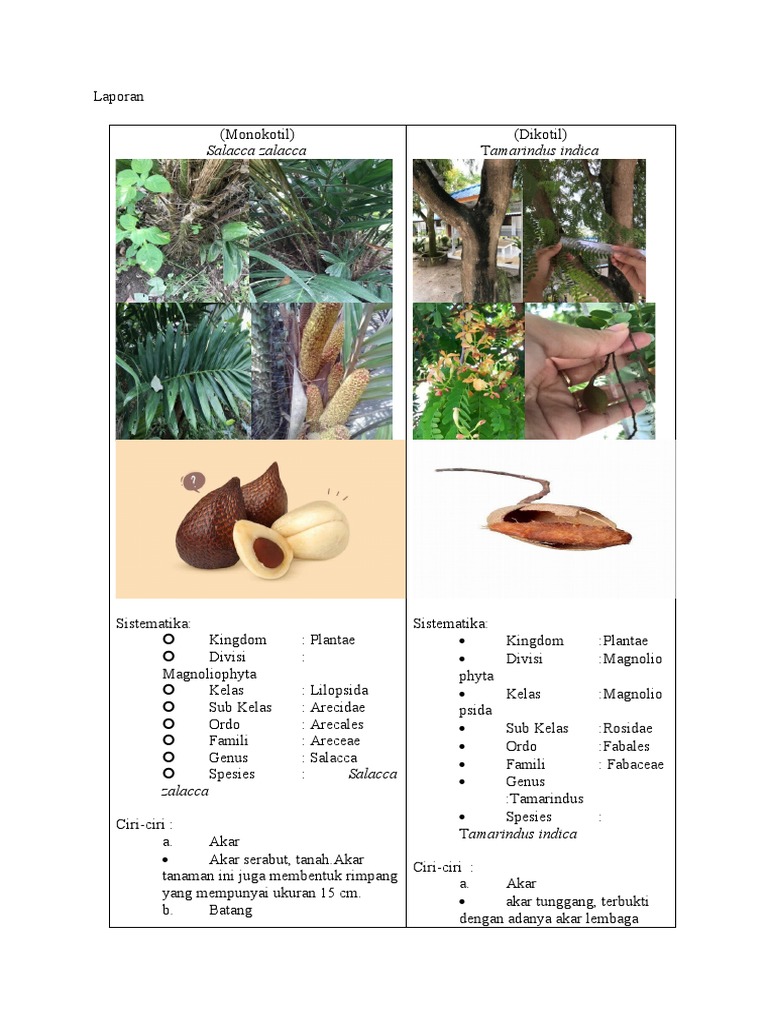 Uydagi ayollarning samimiy fotosuratlari