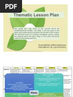 Thematic Lesson Plan