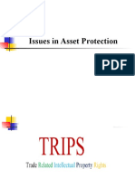 Issues in Asset Protection