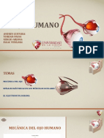 Exposicion el ojo humano actualizada