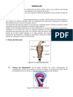 HIDROCICLÓN