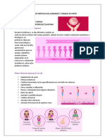 Características Del Embarazo y Trabajo de Parto