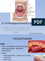 LP 14 - Patologia Tumorală A Cavității Orale