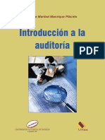 Introduccion a La Auditoria (1)