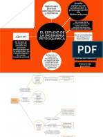 Mapa Conceptual Petroquimica