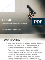 Crime: Hamza Hanif - BSEF17A010